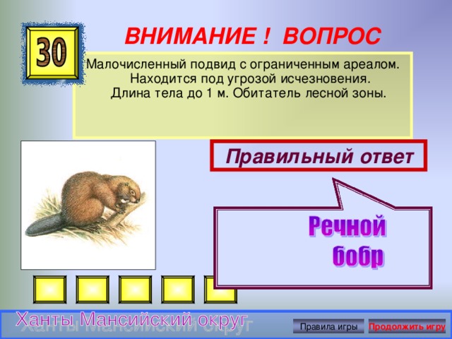 ВНИМАНИЕ ! ВОПРОС Малочисленный подвид с ограниченным ареалом. Находится под угрозой исчезновения.  Длина тела до 1 м. Обитатель лесной зоны.   Правильный ответ Правила игры Продолжить игру 