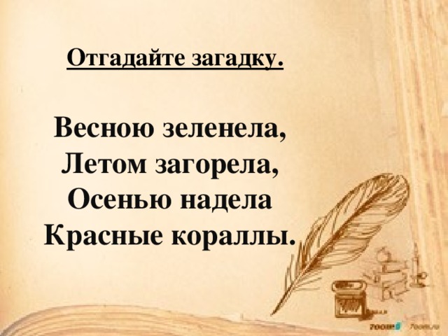 Отгадайте загадку. Весною зеленела, Летом загорела, Осенью надела Красные кораллы. 