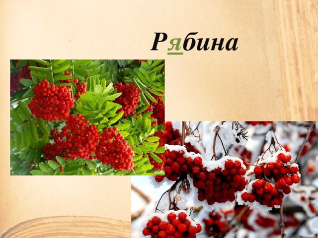 Р я бина 