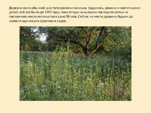Деревня жила обычной для того времени жизнью, трудились, рожали и воспитывали детей, всё это было до 1967 года, пока оттуда не выехала последняя семья на постоянное место жительство в село Тёплое. Сейчас на месте деревни бурьян да заросли одичавших фруктовых садов. 