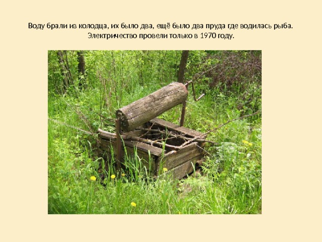 Воду брали из колодца, их было два, ещё было два пруда где водилась рыба. Электричество провели только в 1970 году. 
