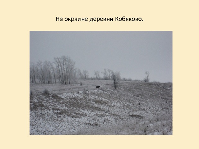 На окраине деревни Кобяково. 