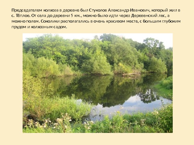 Председателем колхоза в деревне был Стуколов Александр Иванович, который жил в с. Тёплое. От села до деревни 5 км., можно было идти через Деревенский лес, а можно полем. Соколики располагались в очень красивом месте, с большим глубоким прудом и колхозным садом. 