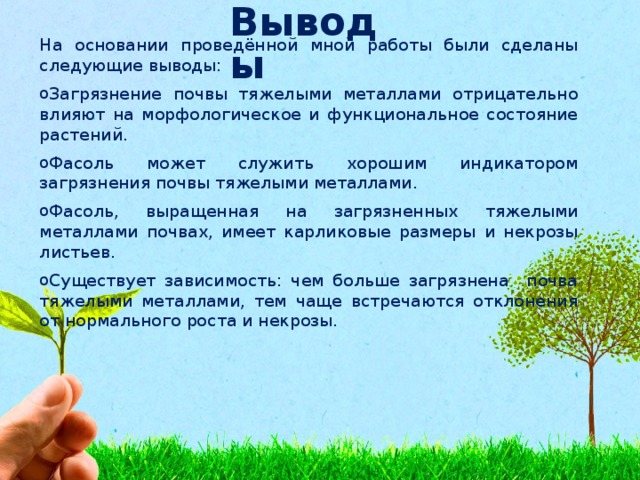 Выводы На основании проведённой мной работы были сделаны следующие выводы: Загрязнение почвы тяжелыми металлами отрицательно влияют на морфологическое и функциональное состояние растений. Фасоль может служить хорошим индикатором загрязнения почвы тяжелыми металлами. Фасоль, выращенная на загрязненных тяжелыми металлами почвах, имеет карликовые размеры и некрозы листьев. Существует зависимость: чем больше загрязнена почва тяжелыми металлами, тем чаще встречаются отклонения от нормального роста и некрозы. 