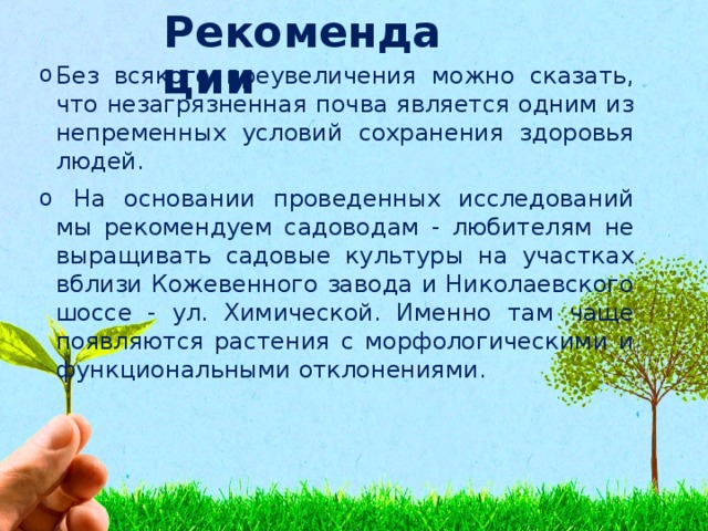 Рекомендации Без всякого преувеличения можно сказать, что незагрязненная почва является одним из непременных условий сохранения здоровья людей.  На основании проведенных исследований мы рекомендуем садоводам - любителям не выращивать садовые культуры на участках вблизи Кожевенного завода и Николаевского шоссе - ул. Химической. Именно там чаще появляются растения с морфологическими и функциональными отклонениями. 