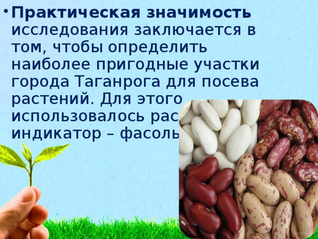 Практическая значимость исследования заключается в том, чтобы определить наиболее пригодные участки города Таганрога для посева растений. Для этого использовалось растение – индикатор – фасоль. 