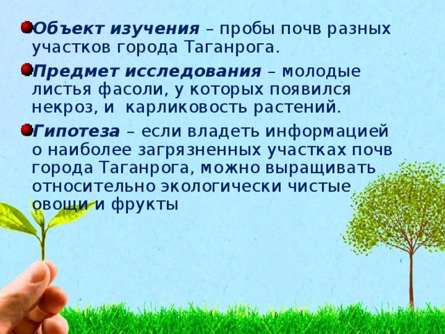Объект изучения – пробы почв разных участков города Таганрога. Предмет исследования – молодые листья фасоли, у которых появился некроз, и карликовость растений. Гипотеза – если владеть информацией о наиболее загрязненных участках почв города Таганрога, можно выращивать относительно экологически чистые овощи и фрукты 