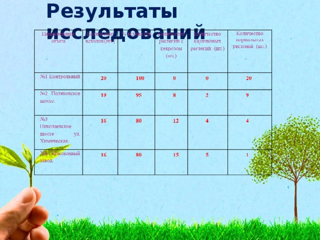 Результаты исследований 