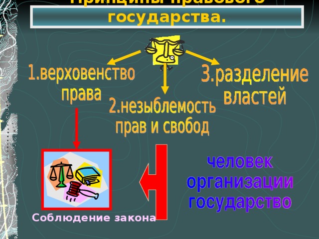 Принципы правового государства. Соблюдение закона