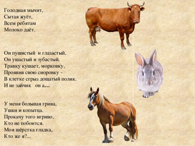 Голодная мычит,   Сытая жуёт,   Всем ребятам   Молоко даёт.  Он пушистый  и глазастый,  Он ушастый и зубастый.  Травку кушает, морковку,  Проявив свою сноровку -  В клетке сгрыз дощатый полик.  И не зайчик   он а … У меня большая грива,  Ушки и копытца.  Прокачу того игриво,  Кто не побоится.  Моя шёрстка гладка,  Кто же я?...