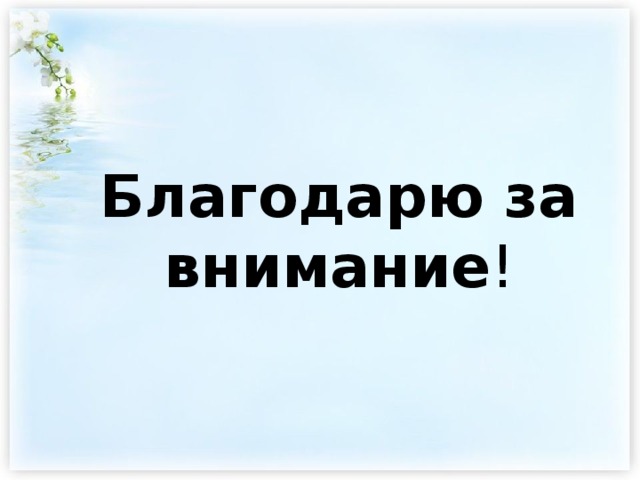 Благодарю за внимание ! 