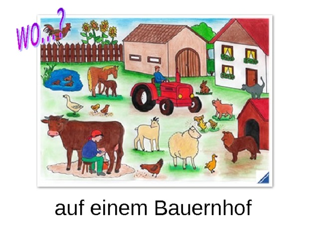 auf einem Bauernhof 