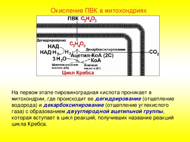 Процессу окисления соответствует схема s 6 s 4