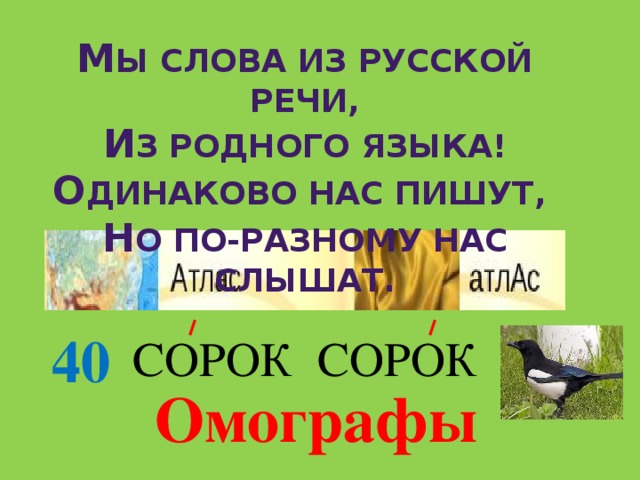 М ы слова из русской речи, И з родного языка! О динаково нас пишут, Н о по-разному нас слышат. 40 СОРОК СОРОК Омографы  