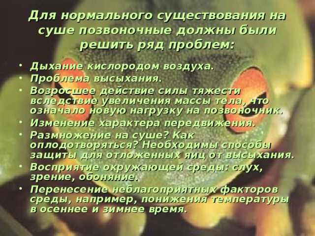 Для нормального существования на суше позвоночные должны были решить ряд проблем: Дыхание кислородом воздуха. Проблема высыхания. Возросшее действие силы тяжести вследствие увеличения массы тела, что означало новую нагрузку на позвоночник. Изменение характера передвижения. Размножение на суше? Как оплодотворяться? Необходимы способы защиты для отложенных яиц от высыхания. Восприятие окружающей среды: слух, зрение, обоняние. Перенесение неблагоприятных факторов среды, например, понижения температуры в осеннее и зимнее время.   