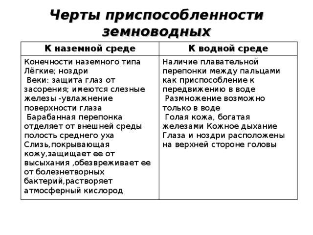 Черты приспособленности земноводных К наземной среде К водной среде Конечности наземного типа Лёгкие; ноздри  Веки: защита глаз от засорения; имеются слезные железы -увлажнение поверхности глаза  Барабанная перепонка отделяет от внешней среды полость среднего уха Слизь,покрывающая кожу,защищает ее от высыхания ,обезвреживает ее от болезнетворных бактерий,растворяет атмосферный кислород Наличие плавательной перепонки между пальцами как приспособление к передвижению в воде  Размножение возможно только в воде  Голая кожа, богатая железами Кожное дыхание Глаза и ноздри расположены на верхней стороне головы 