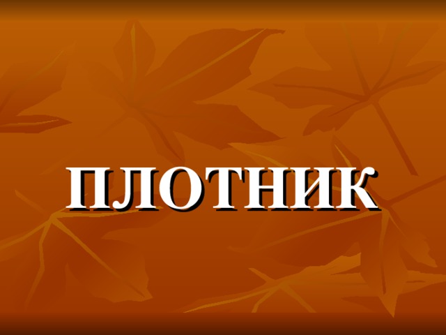 ПЛОТНИК 