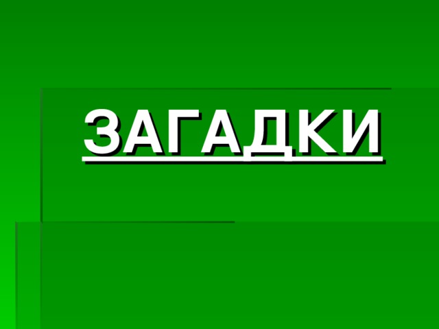 ЗАГАДКИ 