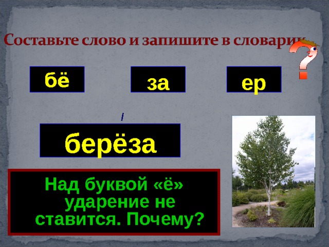 за ер бё / берёза Над буквой «ё» ударение не ставится. Почему? 
