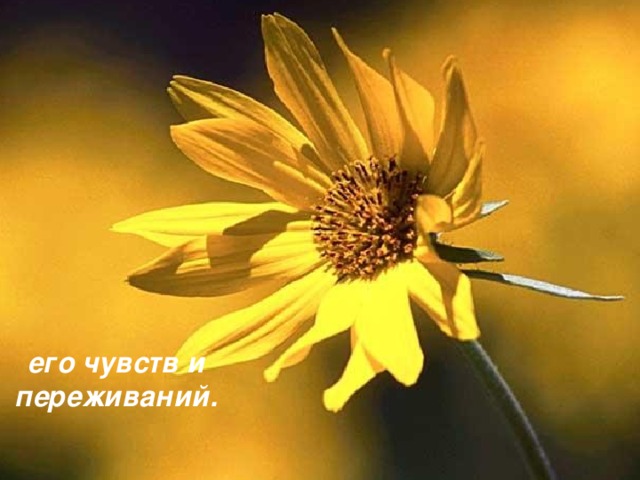 его чувств и переживаний.