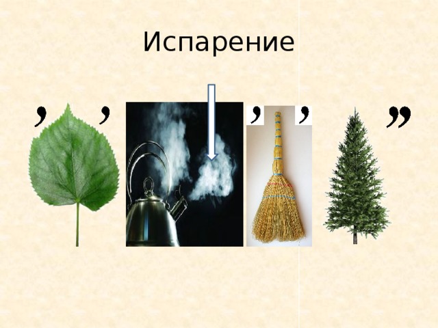 Испарение 