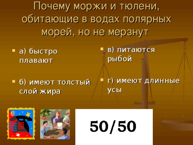 Почему моржи и тюлени, обитающие в водах полярных морей, но не мерзнут