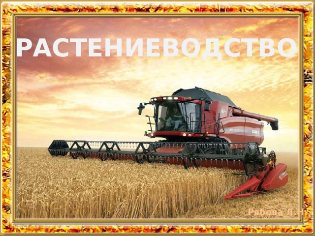 РАСТЕНИЕВОДСТВО 