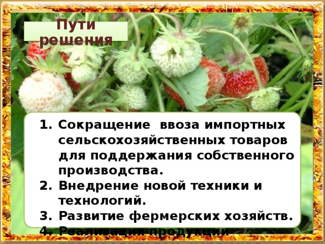 Пути решения Сокращение ввоза импортных сельскохозяйственных товаров для поддержания собственного производства. Внедрение новой техники и технологий. Развитие фермерских хозяйств. Реализация продукции производителем, исключая посредников. 
