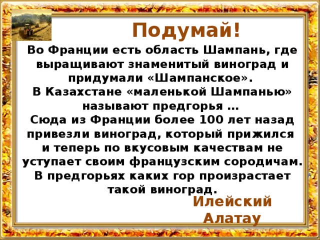 Подумай! Во Франции есть область Шампань, где выращивают знаменитый виноград и придумали «Шампанское». В Казахстане «маленькой Шампанью» называют предгорья … Сюда из Франции более 100 лет назад привезли виноград, который прижился и теперь по вкусовым качествам не уступает своим французским сородичам. В предгорьях каких гор произрастает такой виноград.    Илейский Алатау 