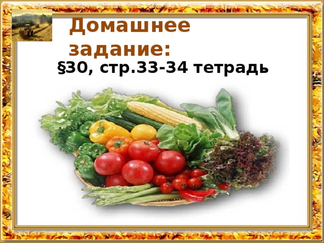 Домашнее задание: §30, стр.33-34 тетрадь 