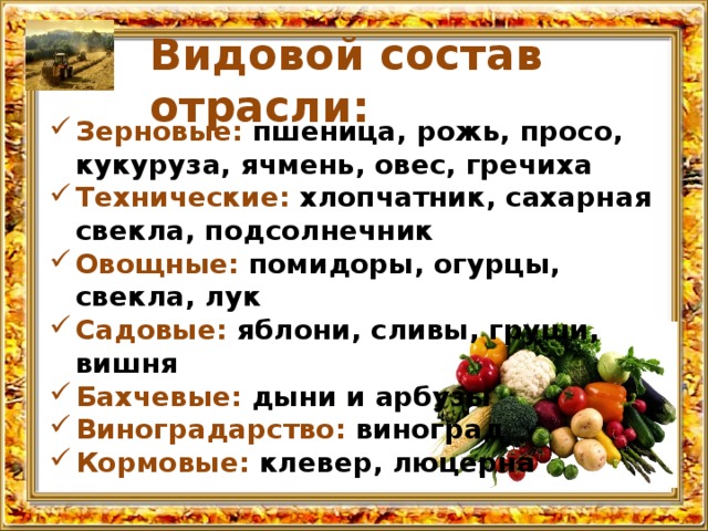 Видовой состав отрасли: Зерновые: пшеница, рожь, просо, кукуруза, ячмень, овес, гречиха Технические: хлопчатник, сахарная свекла, подсолнечник Овощные: помидоры, огурцы, свекла, лук Садовые: яблони, сливы, груши, вишня Бахчевые: дыни и арбузы Виноградарство: виноград  Кормовые: клевер, люцерна  