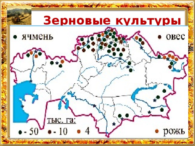 Зерновые культуры  Озимая рожь – продовольственная культура ВКО, ЗКО, СКО, Актюбинская и Павлодарская области  Просо - засухоустойчивая культура. Области: Актюбинская, Акмолинская, Павлодарская Ячмень – продовольственная, кормовая и техническая культура (пшеничный пояс) Овес – важная кормовая культура Север, восток и северо-запад 