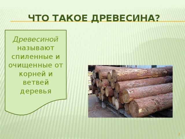 Что такое древесина? Древесиной называют спиленные и очищенные от корней и ветвей деревья  