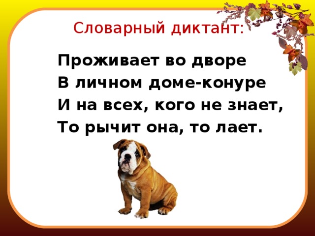 Словарный диктант: Проживает во дворе В личном доме-конуре И на всех, кого не знает, То рычит она, то лает. 