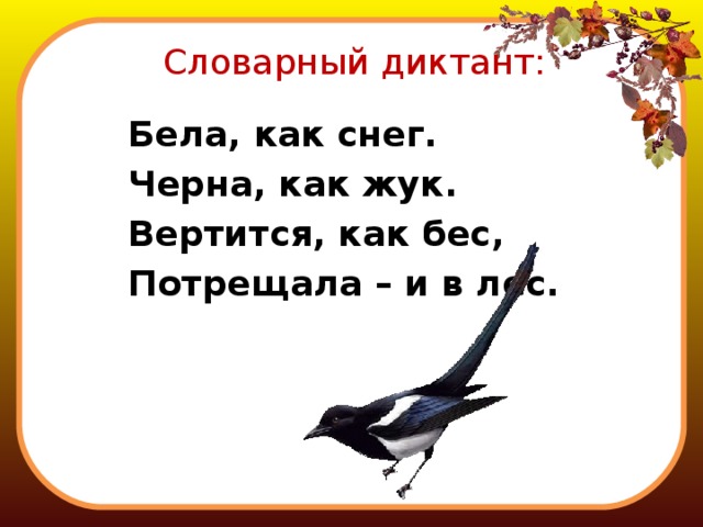 Словарный диктант: Бела, как снег. Черна, как жук. Вертится, как бес, Потрещала – и в лес. 