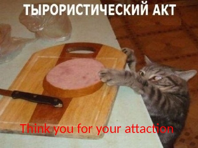 Think you for your attaction 