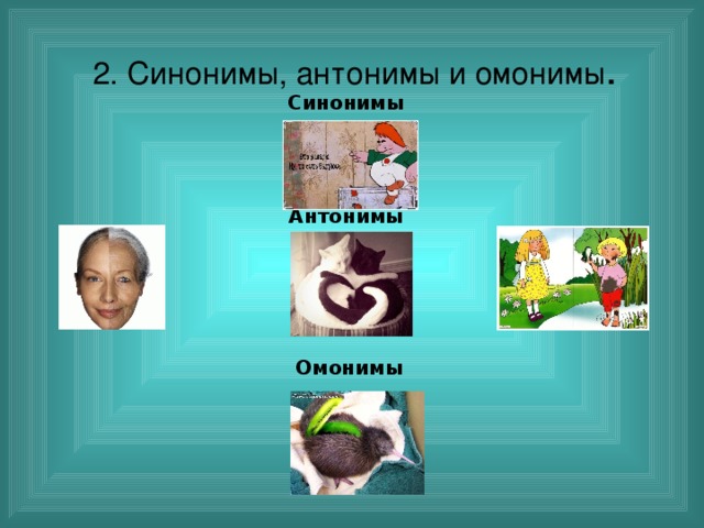 2. Синонимы, антонимы и омонимы . Синонимы   Антонимы     Омонимы  