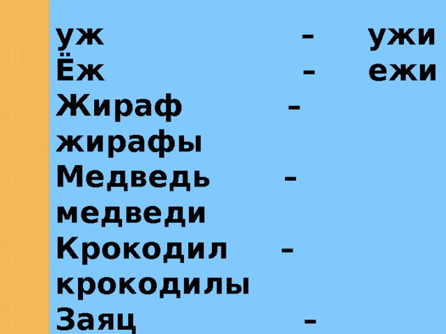 уж – ужи Ёж – ежи Жираф – жирафы Медведь – медведи Крокодил – крокодилы Заяц – зайцы Кит – киты Лев – львы   