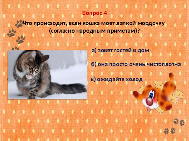 Вопрос 4 Что происходит, если кошка моет лапкой мордочку (согласно народным приметам)? а) зовет гостей в дом б) она просто очень чистоплотна в) ожидайте холод 