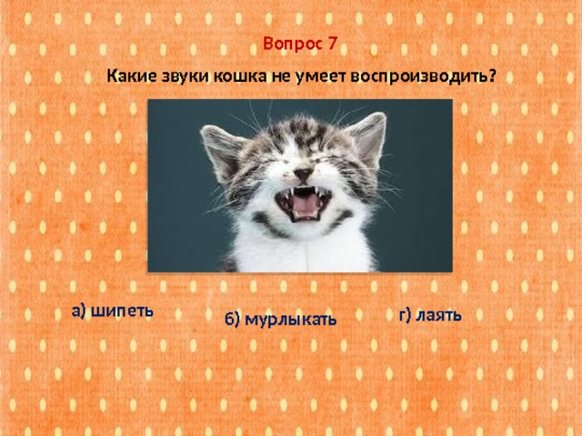 Вопрос 7  Какие звуки кошка не умеет воспроизводить? а) шипеть г) лаять б) мурлыкать 
