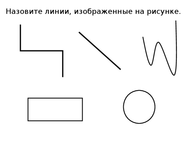 Назовите линии, изображенные на рисунке.