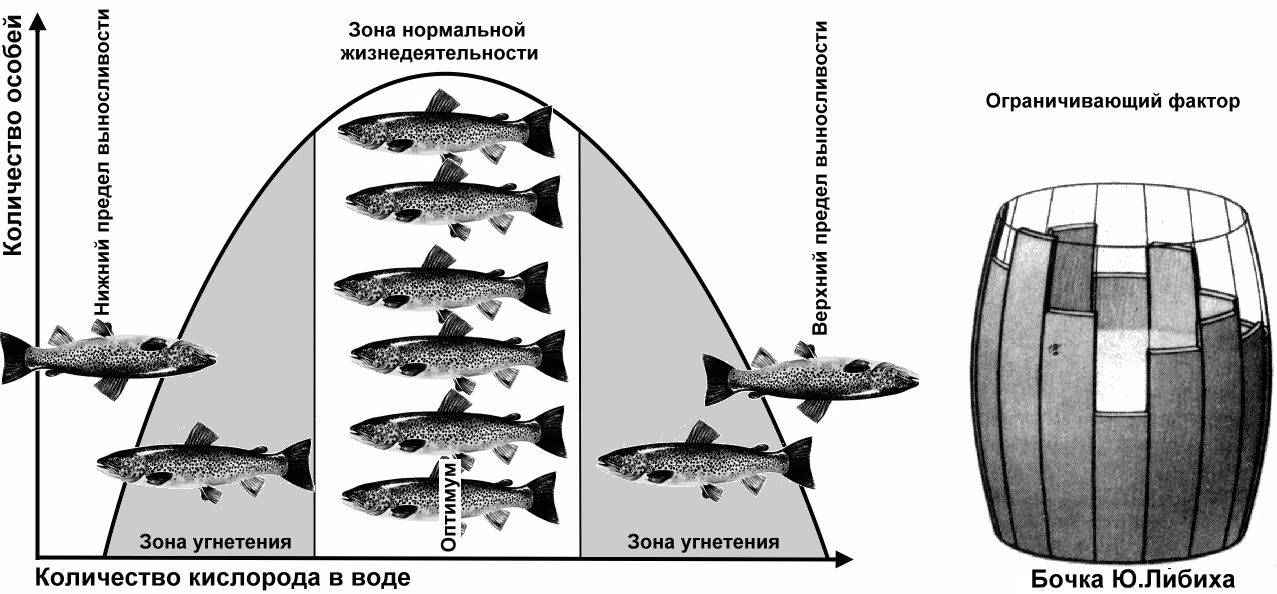 Пределы выносливости схема
