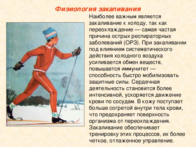 Для проекта наиболее важным является Закаливание организма.Гигиена одежды