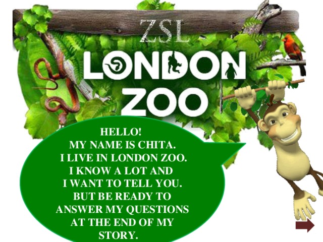 HELLO! MY NAME IS CHITA.  I LIVE IN LONDON ZOO. I KNOW A LOT AND I WANT TO TELL YOU. BUT BE READY TO ANSWER MY QUESTIONS AT THE END OF MY STORY. 