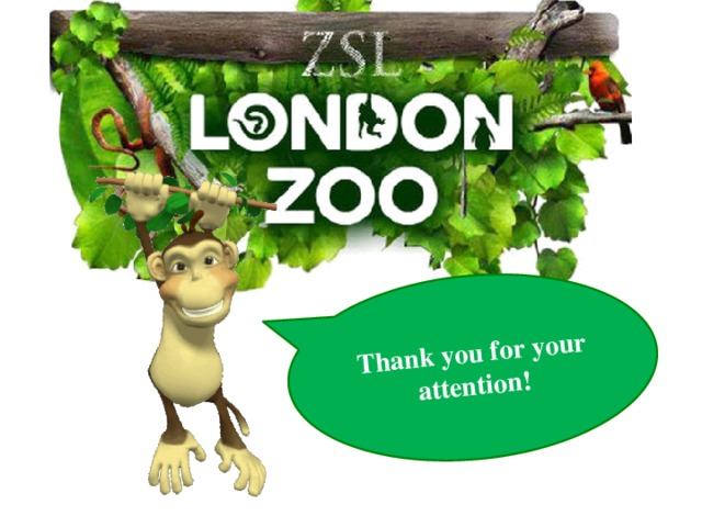 Thank you for your attention! 