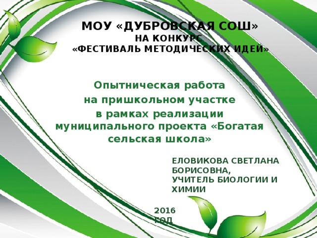 МОУ «Дубровская СОШ»  на конкурс  «Фестиваль методических идей»   Опытническая работа  на пришкольном участке в рамках реализации муниципального проекта «Богатая сельская школа» Еловикова Светлана Борисовна, Учитель биологии и химии  2016 год 