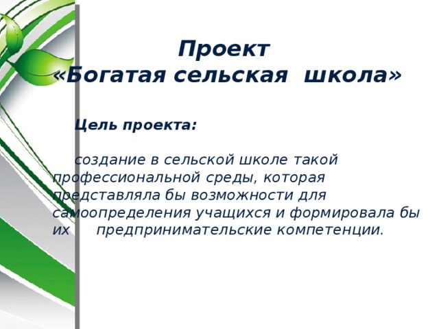 Проект «Богатая сельская школа» Цель проекта:   создание в сельской школе такой профессиональной  среды, которая представляла бы возможности для  самоопределения учащихся и формировала бы их  предпринимательские компетенции. 