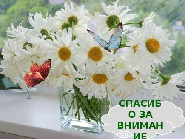 СПАСИБО ЗА ВНИМАНИЕ 