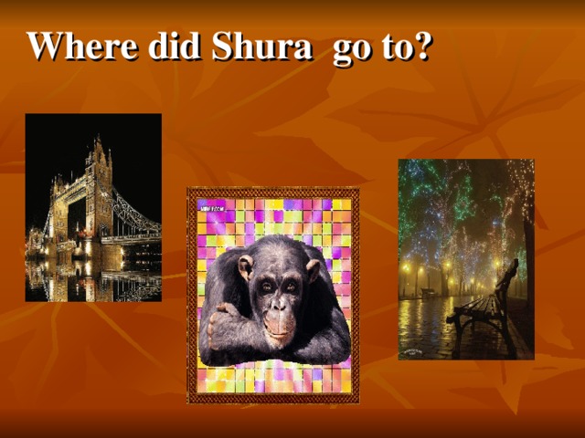 Where did Shura go to?