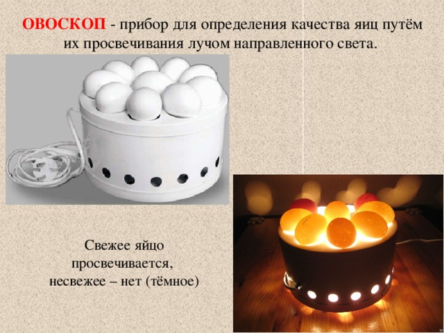 ОВОСКОП - прибор для определения качества яиц путём их просвечивания лучом направленного света. Свежее яйцо просвечивается, несвежее – нет (тёмное) 